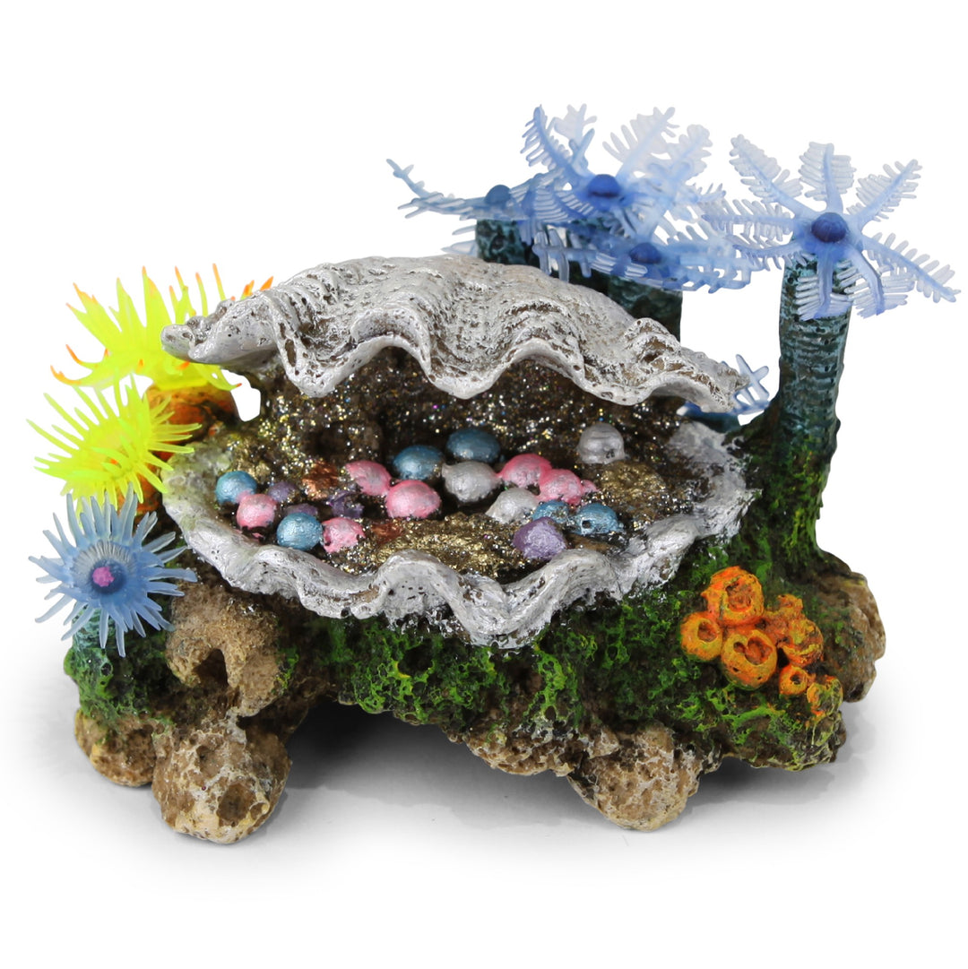 Kazoo Ornament White Clam W/soft Coral & Plants - Small