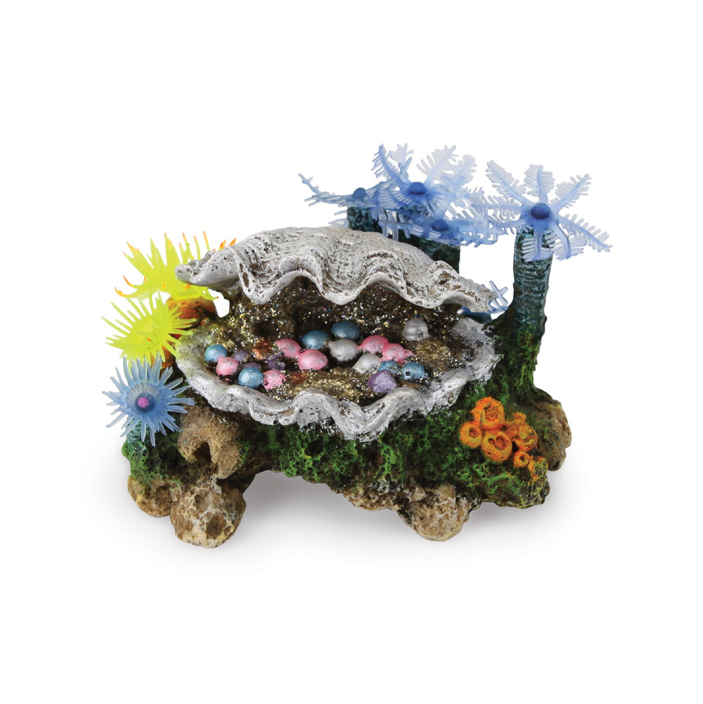 Kazoo Ornament White Clam W/soft Coral & Plants - Small