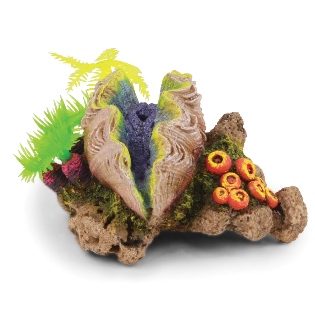 Kazoo Ornament Closed Clam W/plants - Small