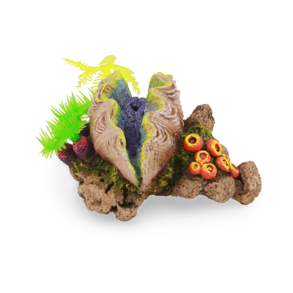 Kazoo Ornament Closed Clam W/plants - Small