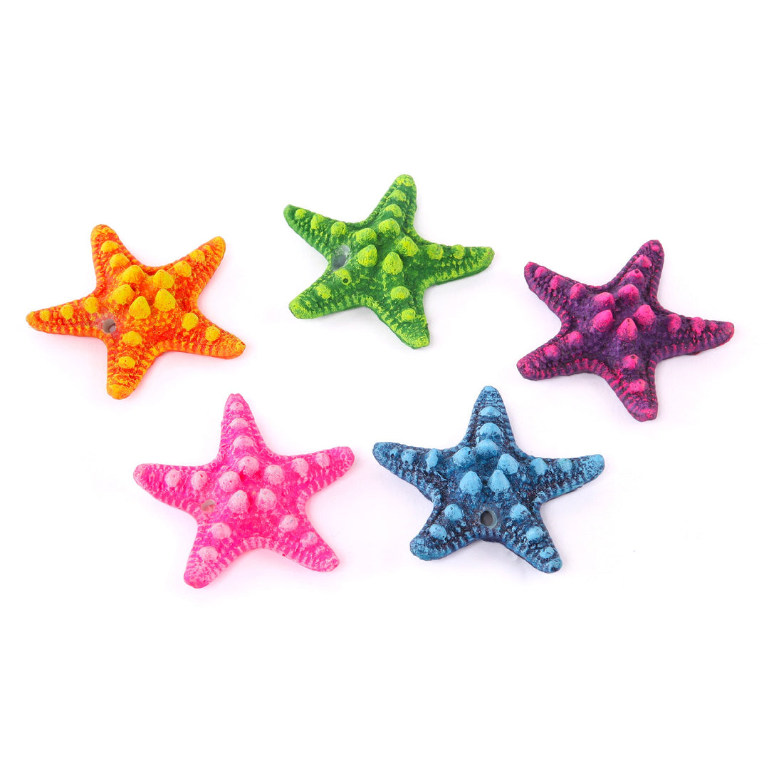 Kazoo Ornament  Starfish Assorted Mini - 5pcs