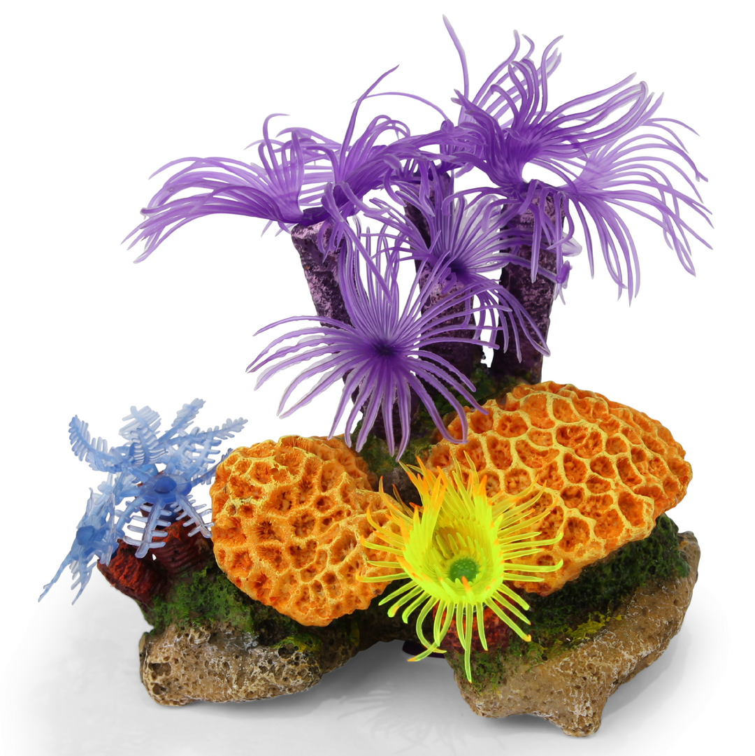 Kazoo Ornament Purple Tunicate Coral Assorted - Small