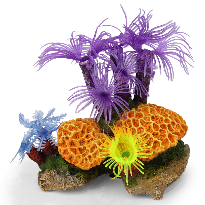 Kazoo Ornament Purple Tunicate Coral Assorted - Small