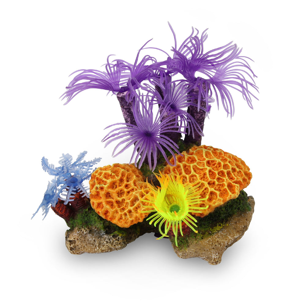Kazoo Ornament Purple Tunicate Coral Assorted - Small