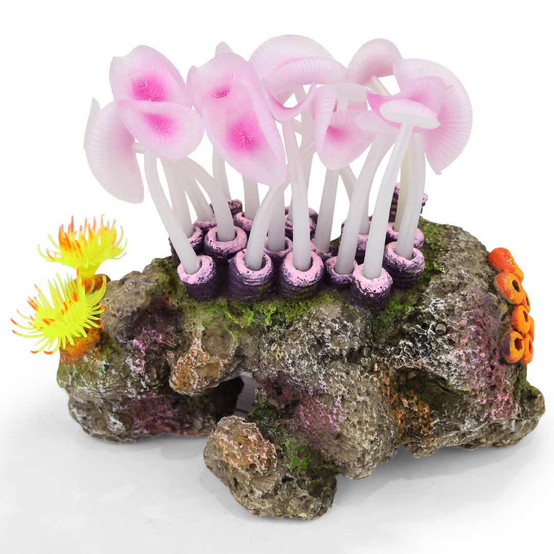 Kazoo Ornament Mushroom Coral On Rock - Medium