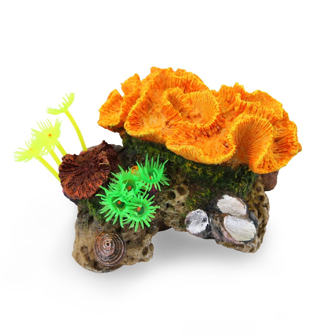 Kazoo Ornament Assorted Coral W/ Plants Small