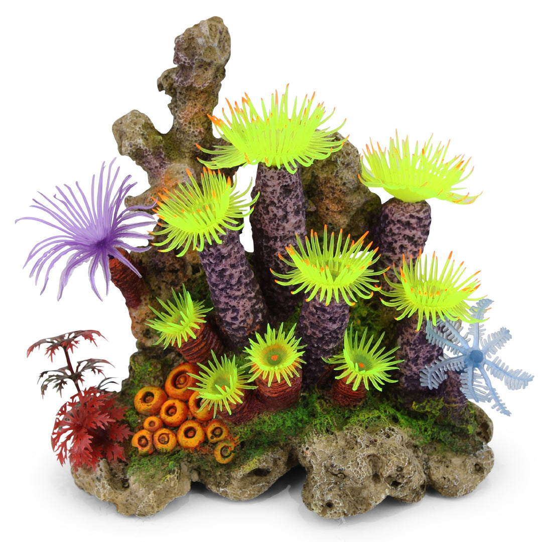 Kazoo Ornament Tunicate Coral W/plants - Medium