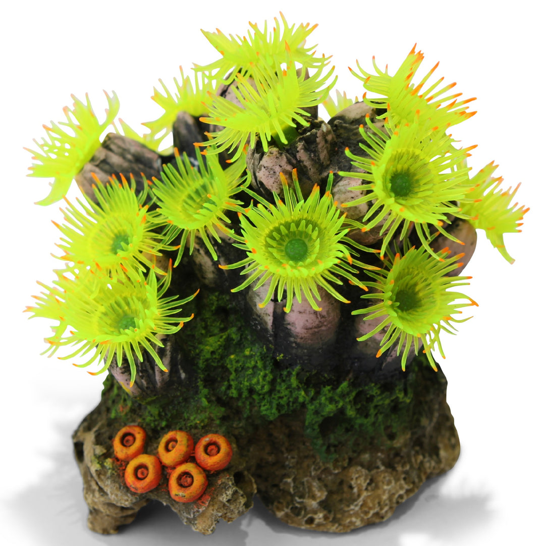 Kazoo Ornament Fluro Soft Coral W/ Plants - Small