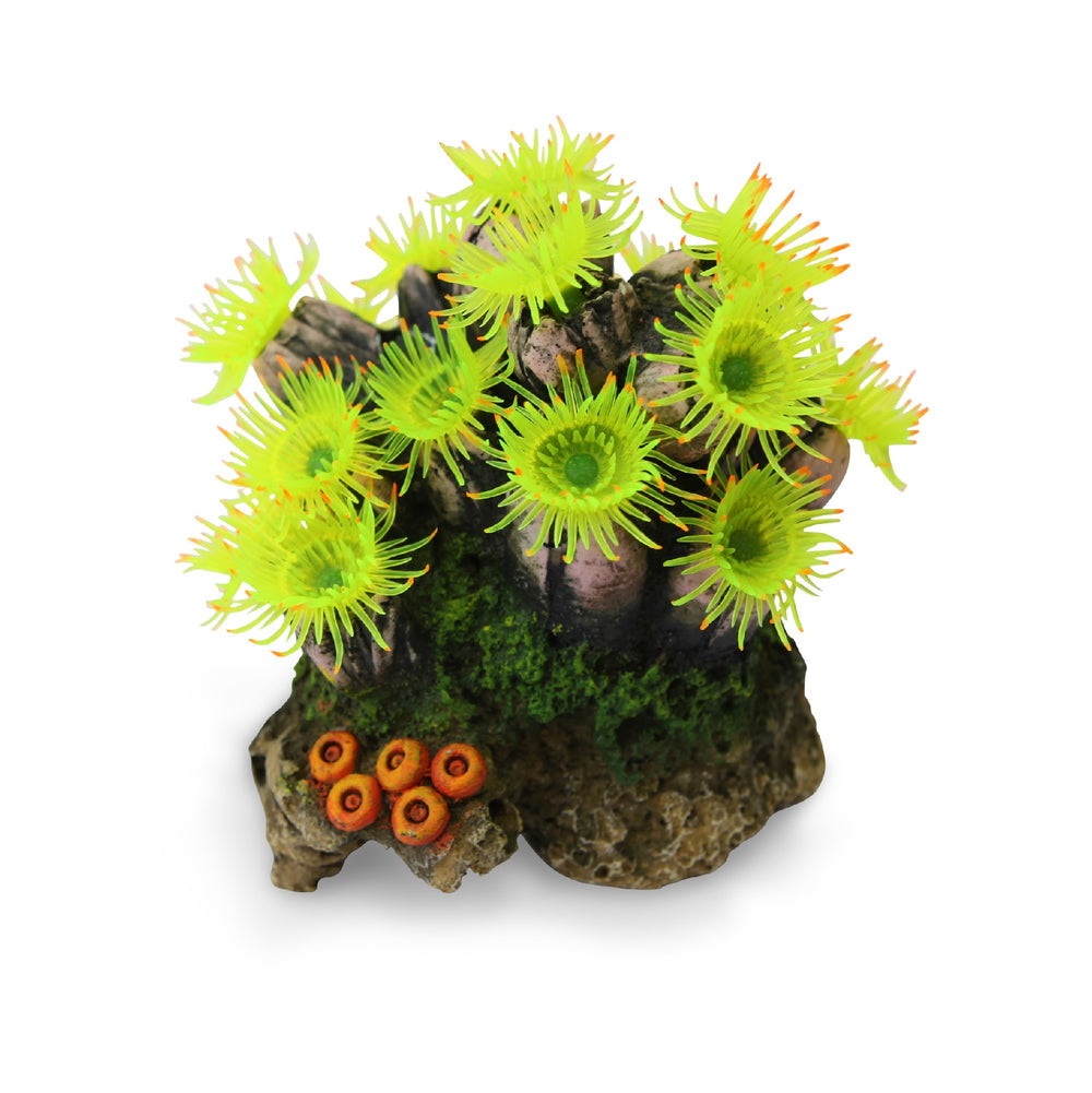 Kazoo Ornament Fluro Soft Coral W/ Plants - Small