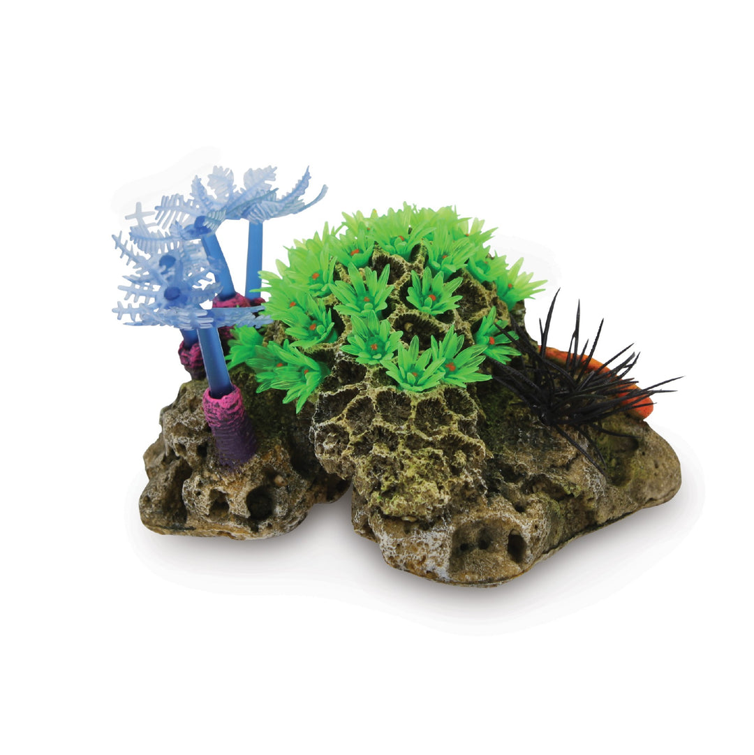 Kazoo Ornament Soft Coral W/sea Urchin - Small
