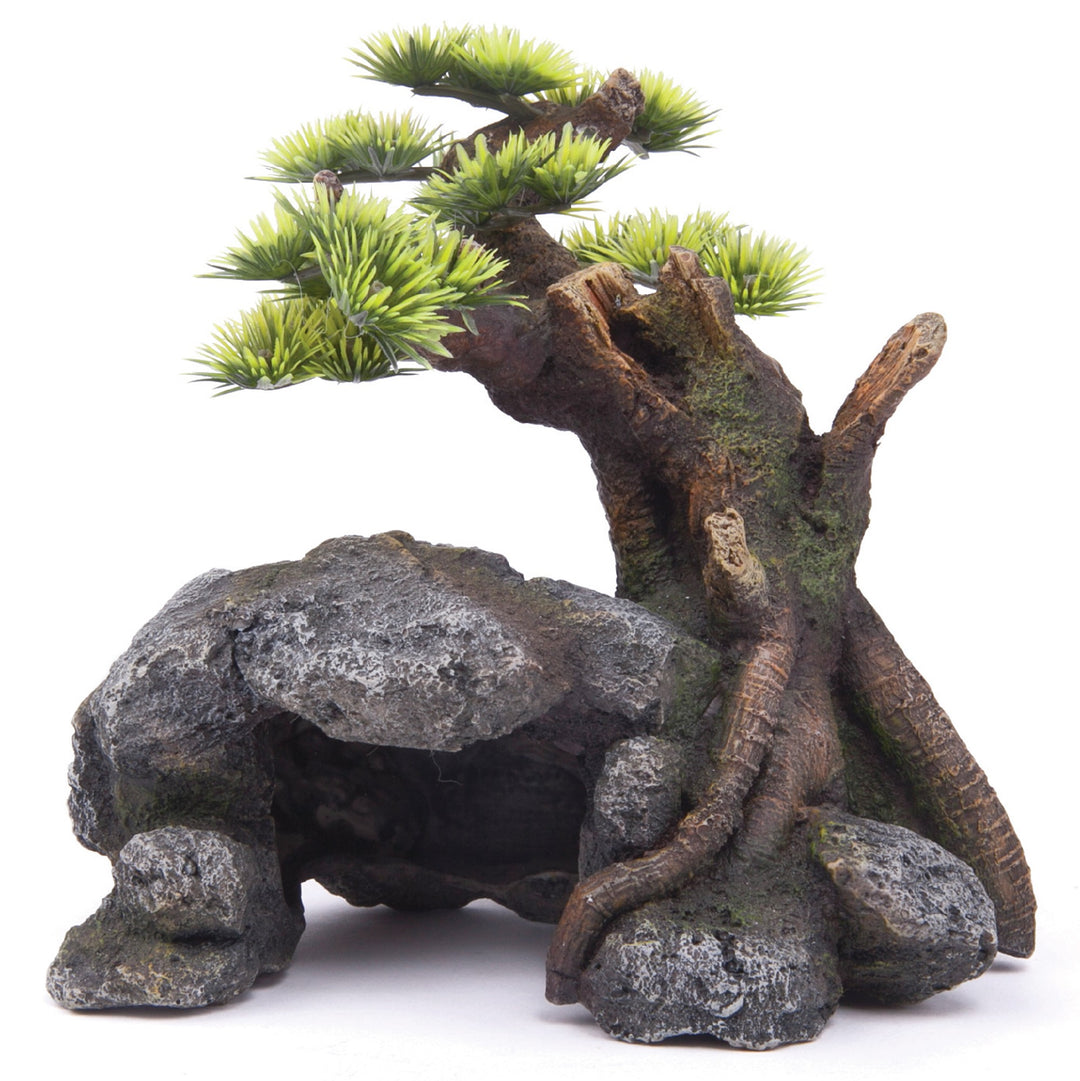 Kazoo Ornament Bonsai W/ Cave & Plants Medium