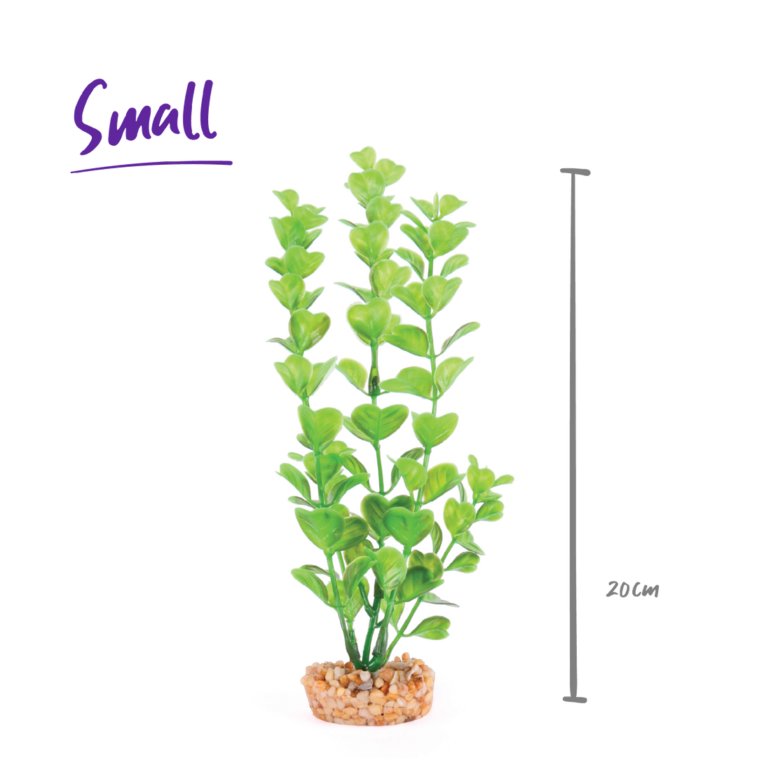 Kazoo Aquarium Plants Medium Leaf Green - S 20cm