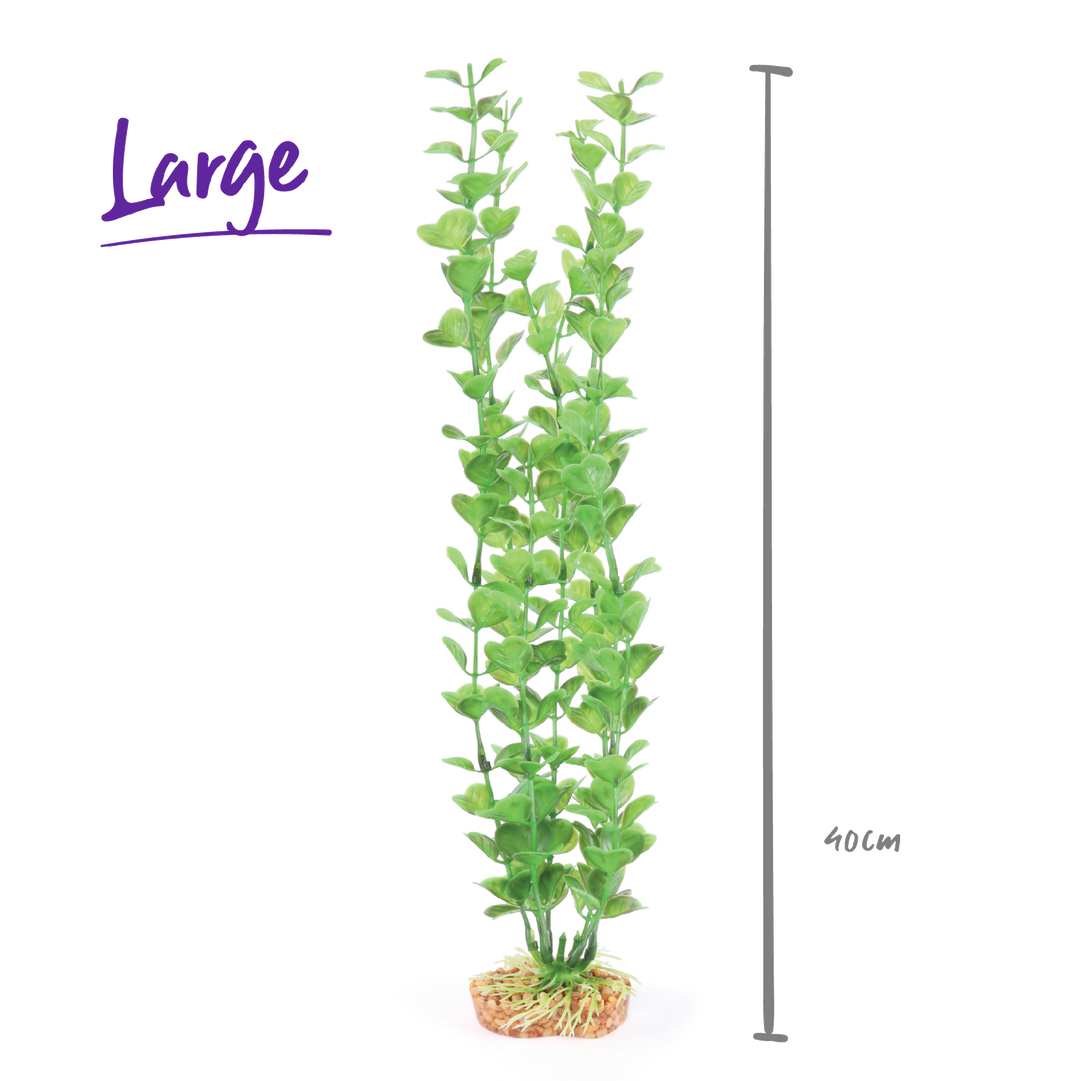 Kazoo Aquarium Plants Medium Leaf Green - L 40cm