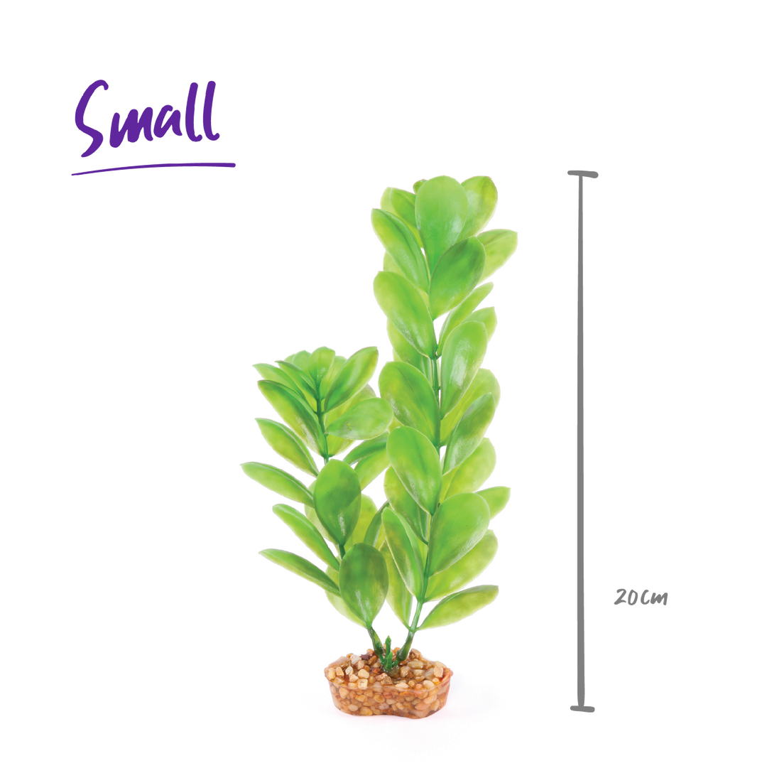 Kazoo Aquarium Plants Large Leaf Green - S 20cm