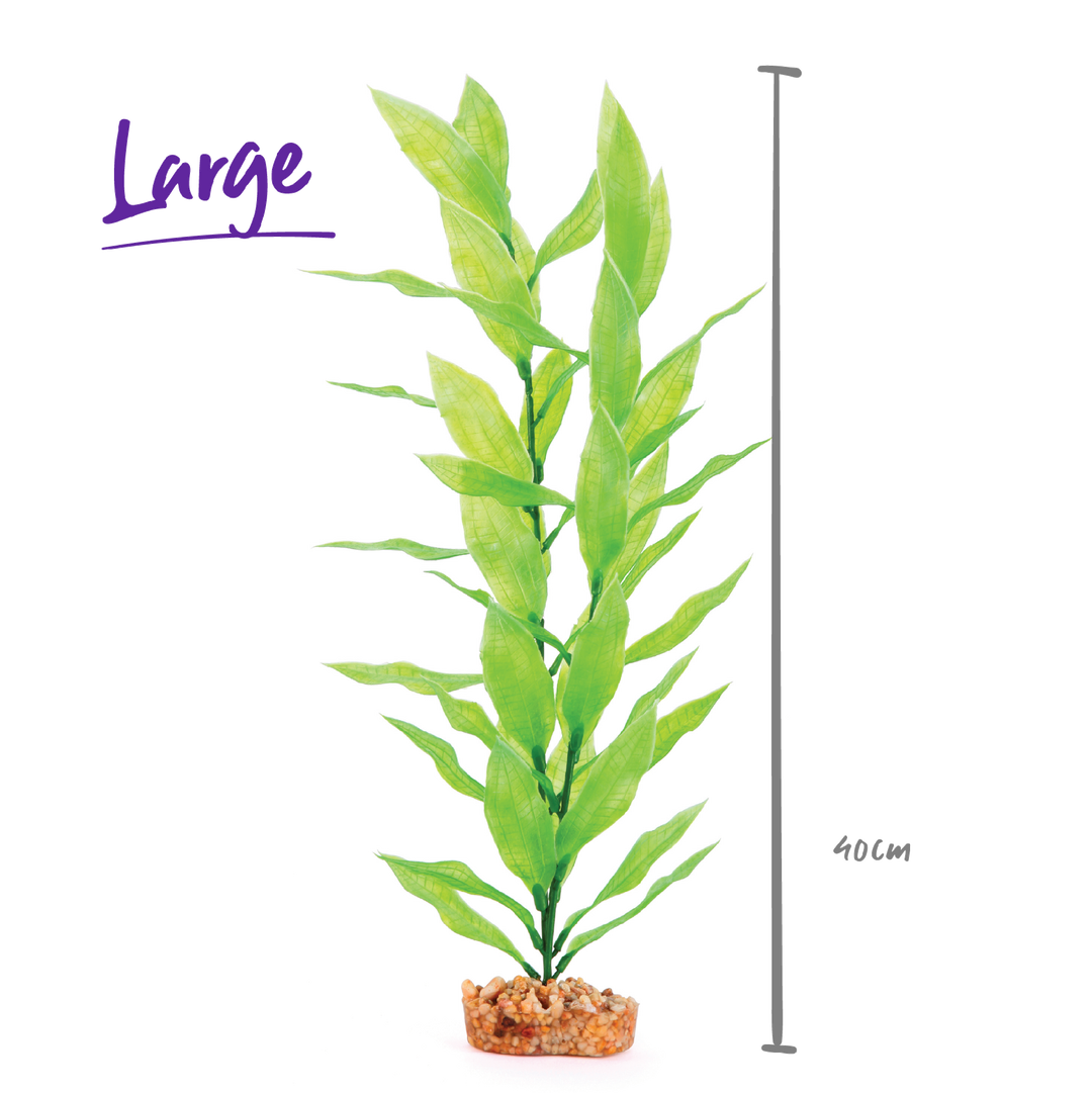 Kazoo Aquarium Plants Long Leaf Green - L 40cm