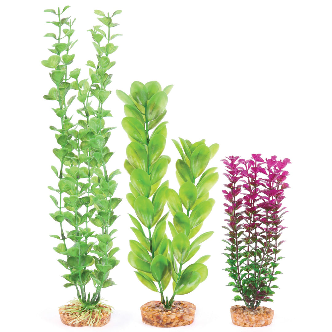 Kazoo Aquarium Plants Multipack #1