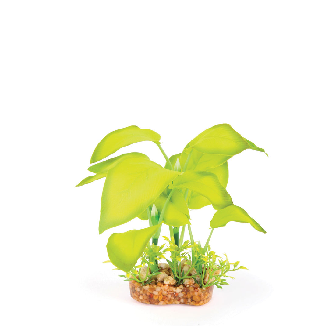 Kazoo Aquarium Plants Silk Large Leaf Green - S 15cm