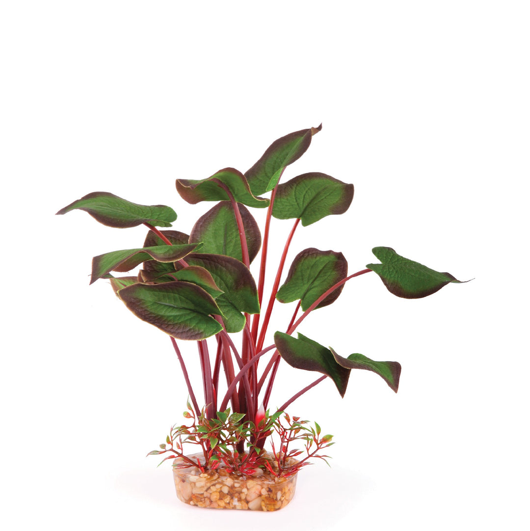 Kazoo Aquarium Plants Silk Large Leaf D/green - M 20cm