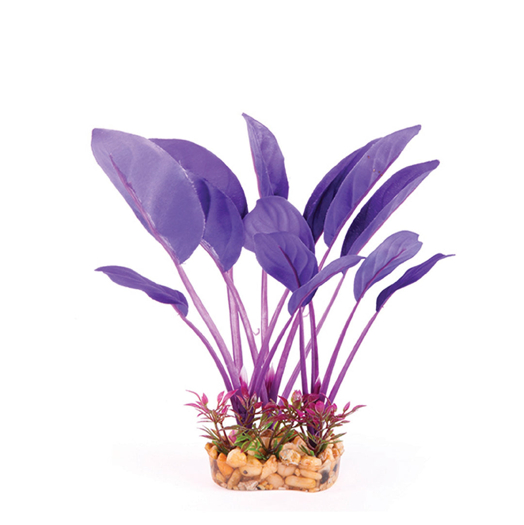 Kazoo Aquarium Plants Silk Thin Leaf Purp/oran - M 20cm