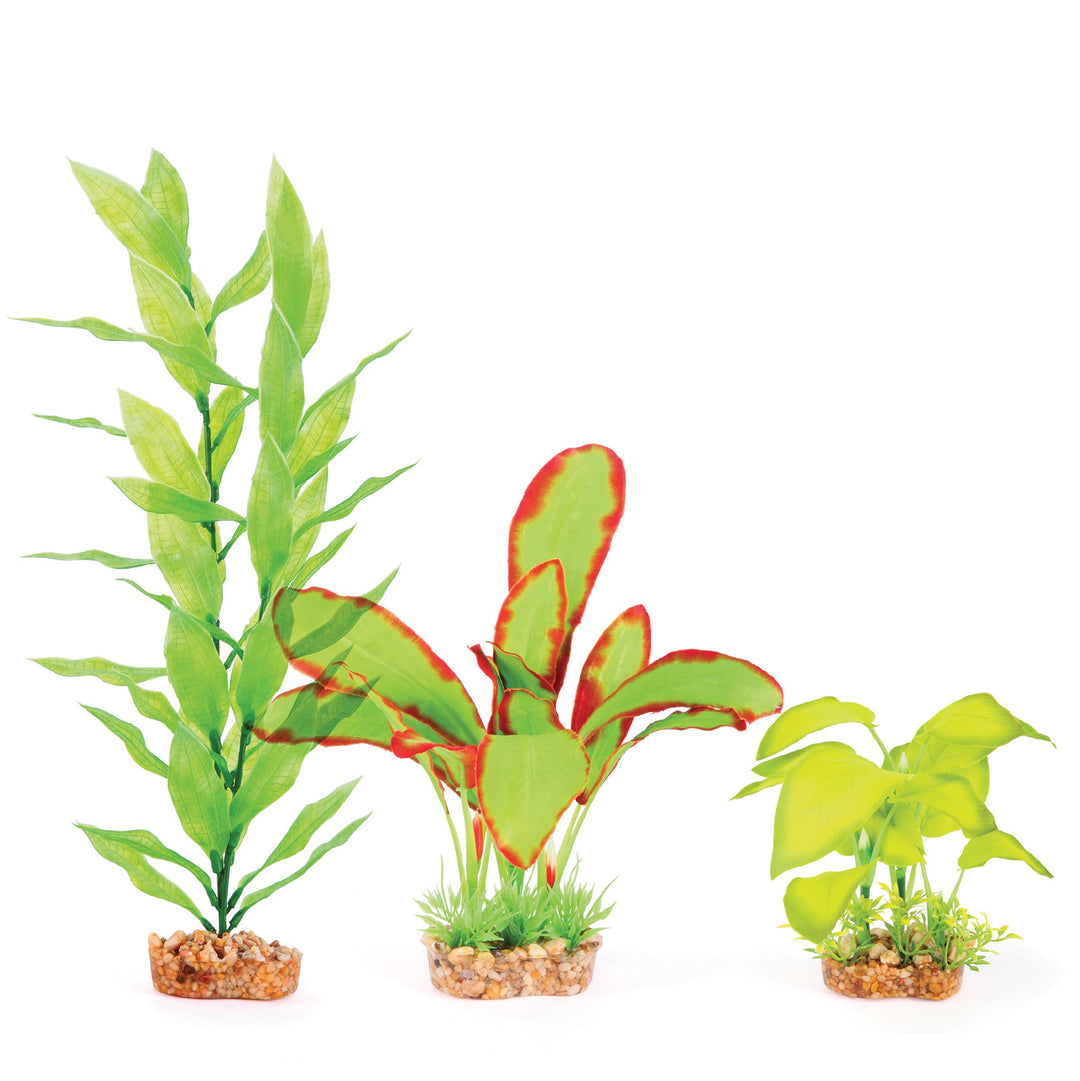 Kazoo Aquarium Plants Silk Multipack #2