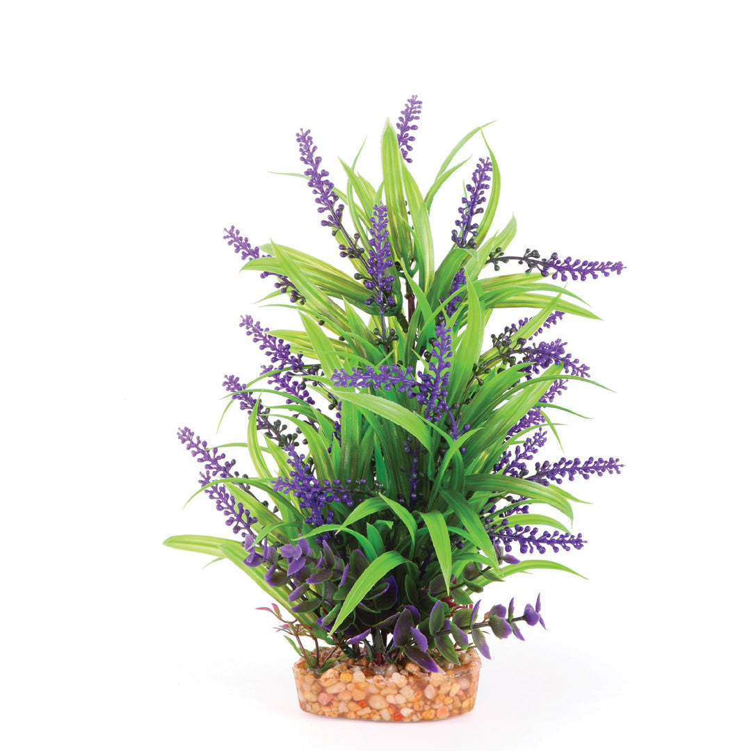 Kazoo Aquarium Plants Combo Thin Leaf W/purp Flower - L 30cm