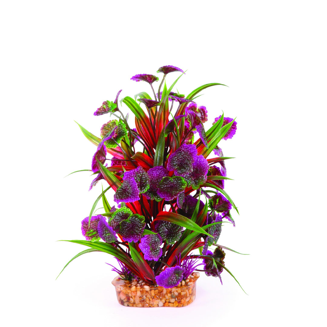 Kazoo Aquarium Plants Combo Thin Leaf W/mar Flower - M 20cm