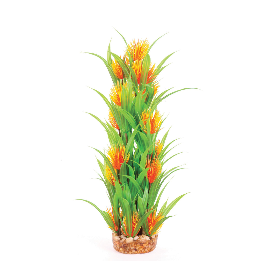 Kazoo Aquarium Plants Combo Thin Leaf W/oran Flower - L 30cm