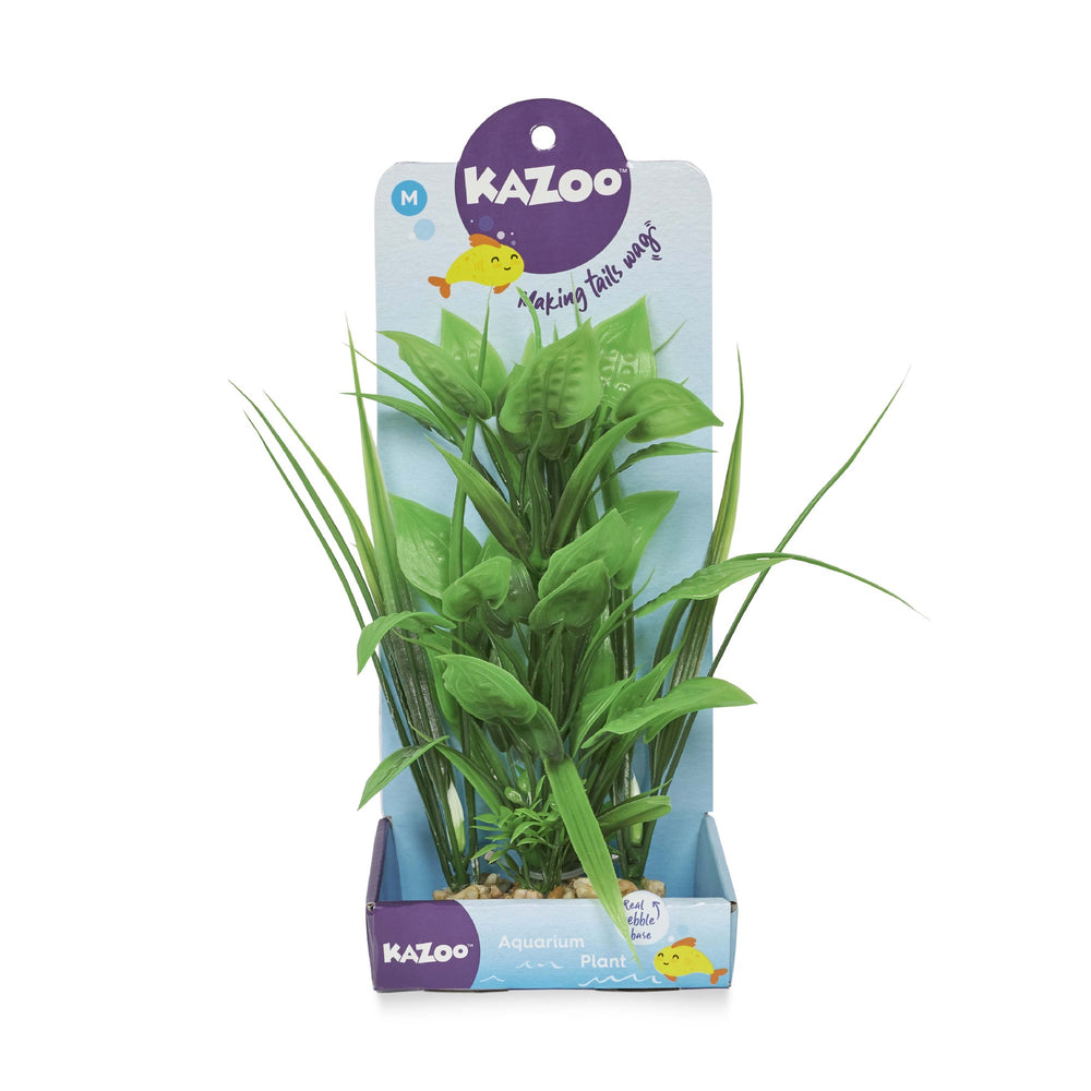 Kazoo Aquarium Plants Combo Thin Leaf W/spot - M 20cm