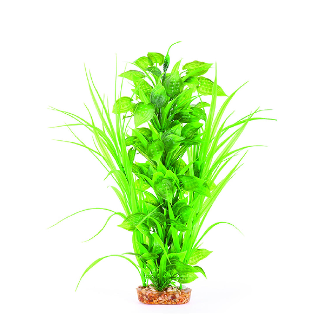 Kazoo Aquarium Plants Combo Thin Leaf W/spot - L 30cm