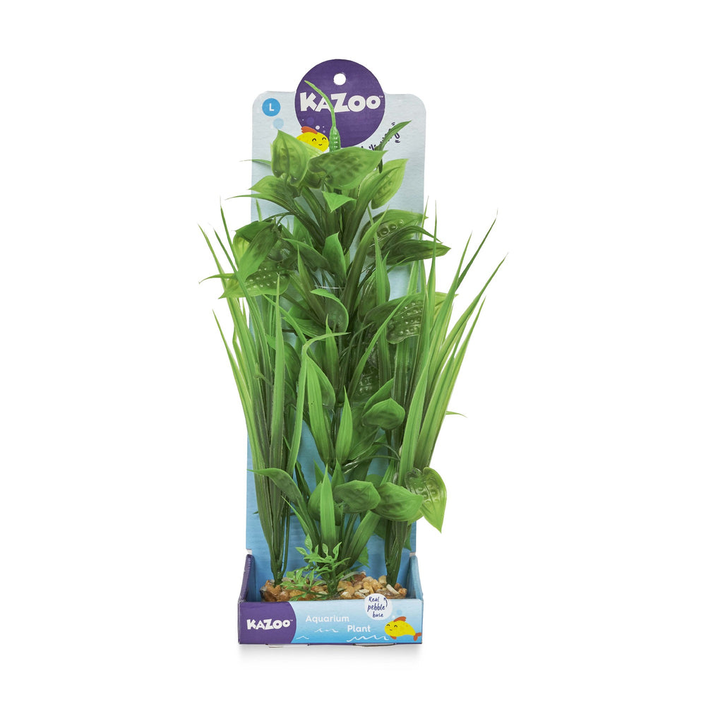 Kazoo Aquarium Plants Combo Thin Leaf W/spot - L 30cm