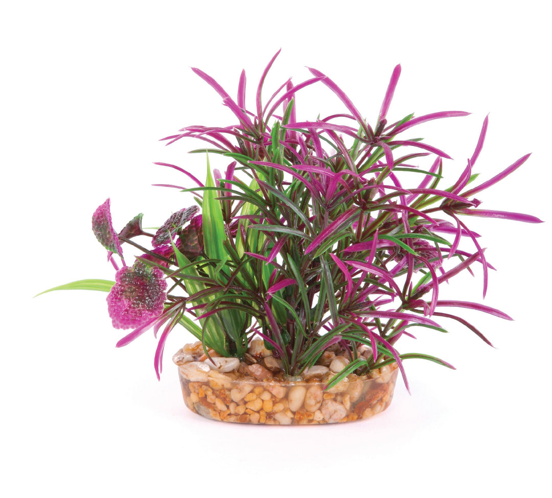 Kazoo Aquarium Plants Combo Bush Mar/green Leaf S - 15cm