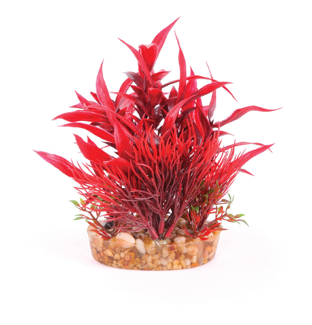 Kazoo Aquarium Plants Combo Bush Red W/ass’t Leaf S - 15cm
