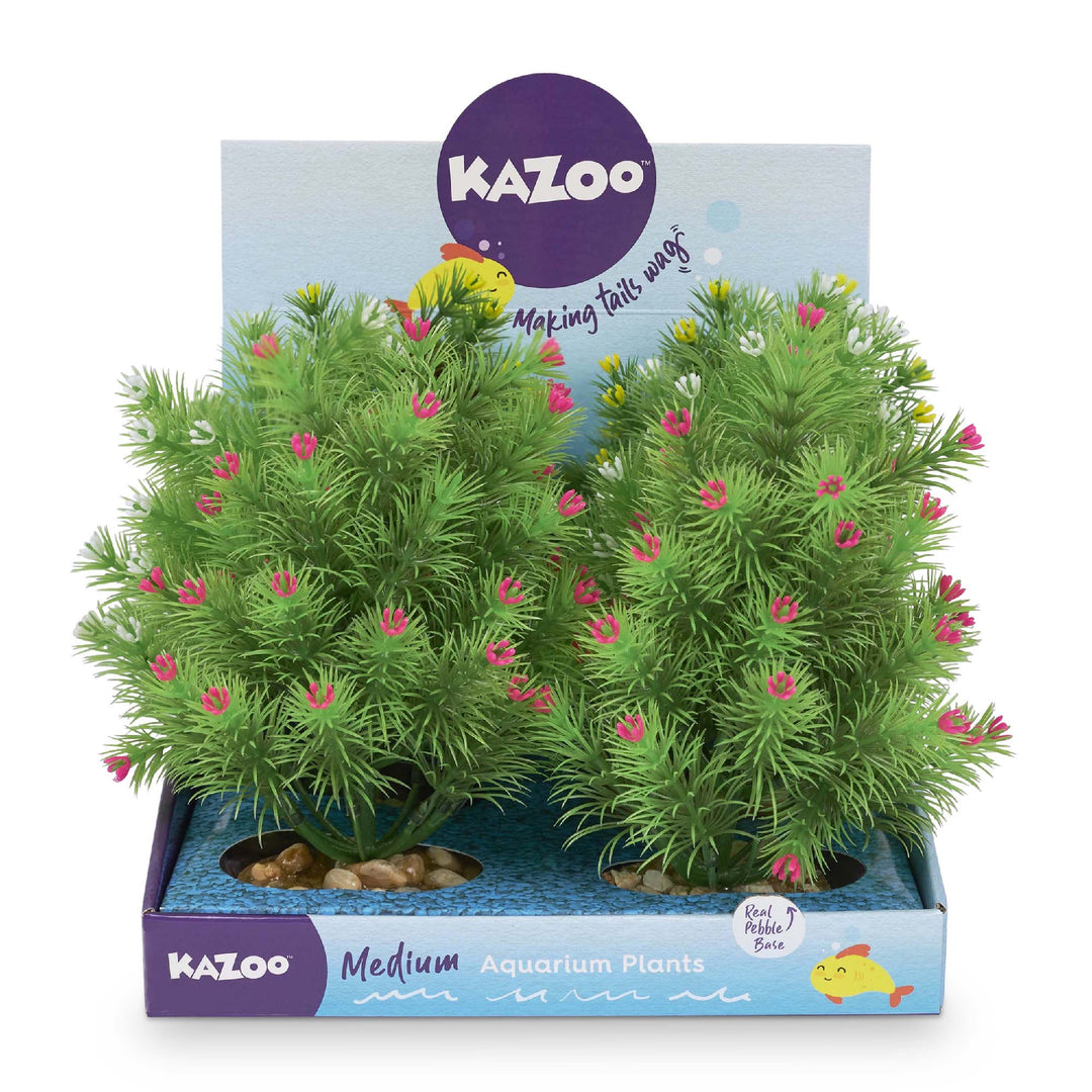 Kazoo Aquarium Plants Small Leaf Assorted - M