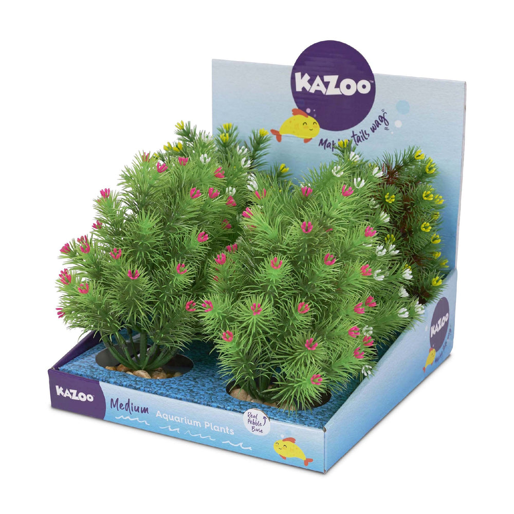 Kazoo Aquarium Plants Small Leaf Assorted - M