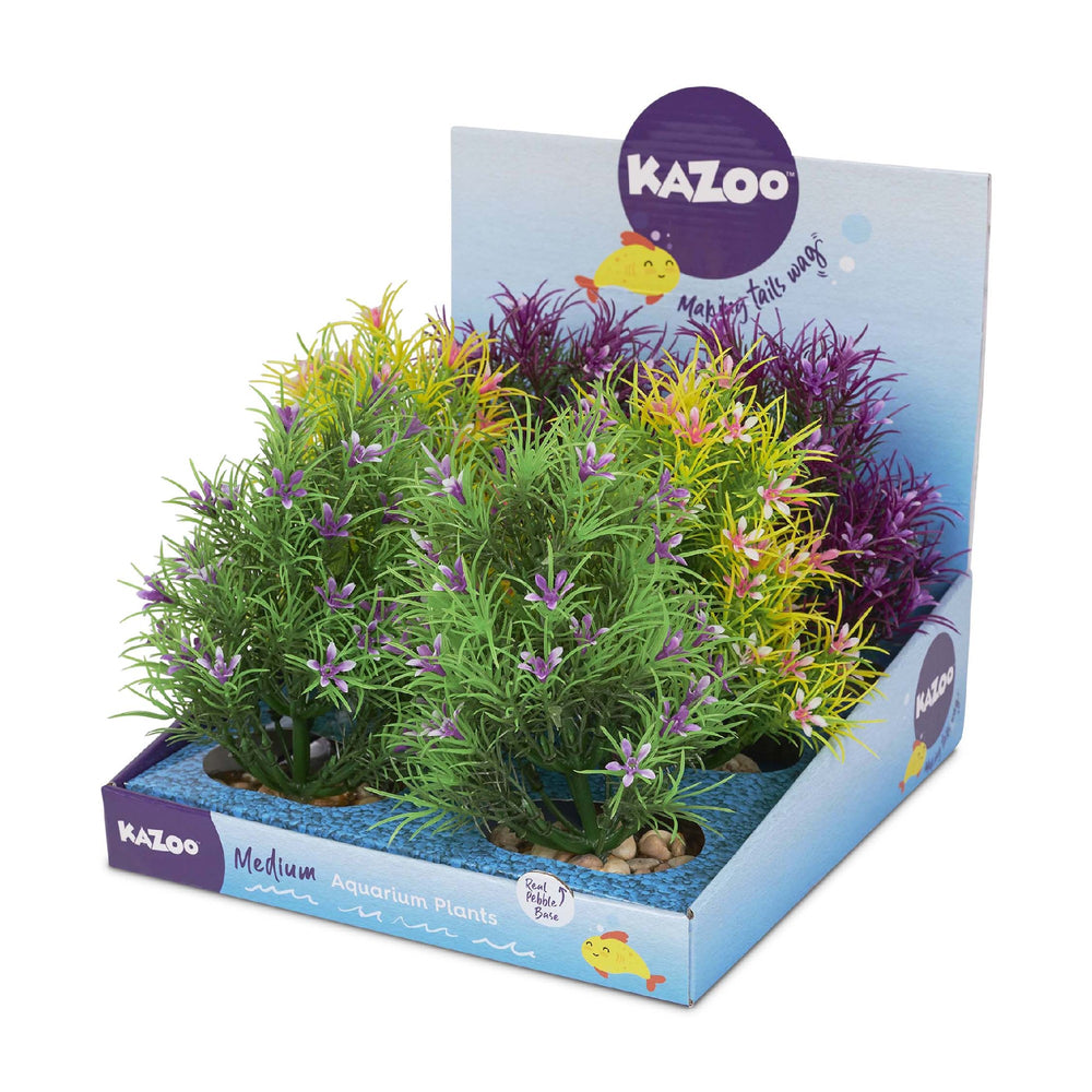 Kazoo Aquarium Plants Pine Leaf W/flower Asso
