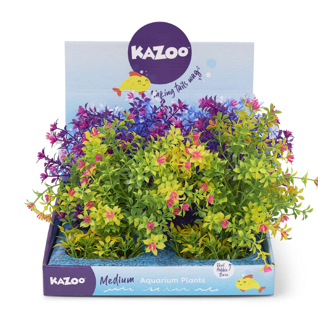 Kazoo Aquarium Plants Thin Leaf W/flower Asso