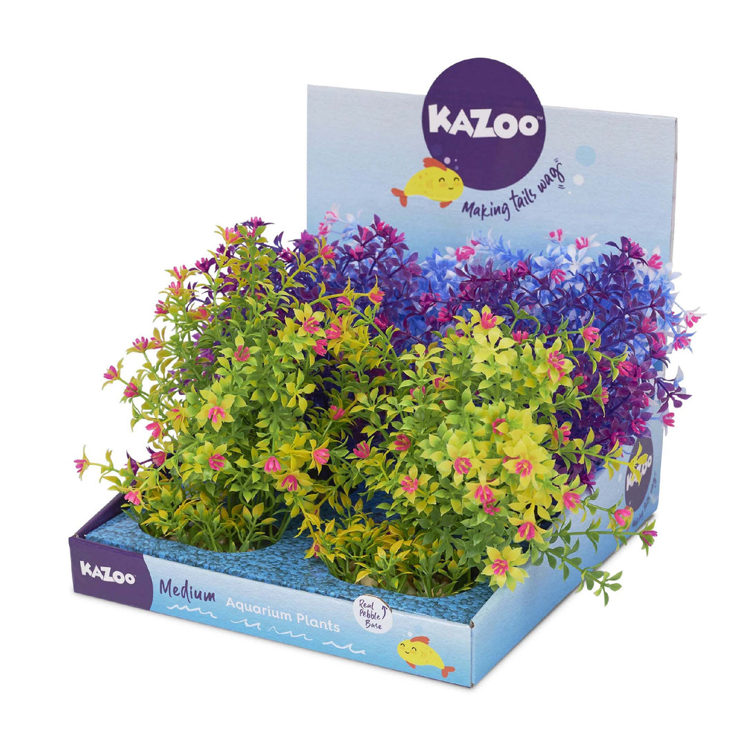Kazoo Aquarium Plants Thin Leaf W/flower Asso
