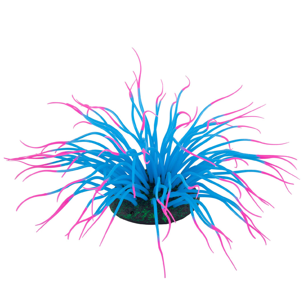 Kazoo Aquarium Plants Silicone W/air Sea Anemone Blue Medium