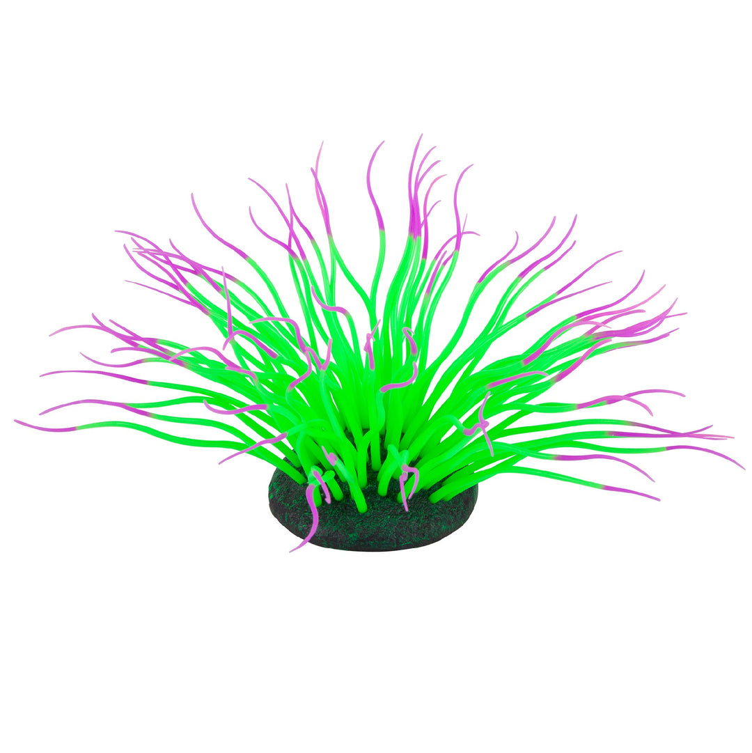 Kazoo Aquarium Plants Silicone W/air Sea Anemone Green Medium