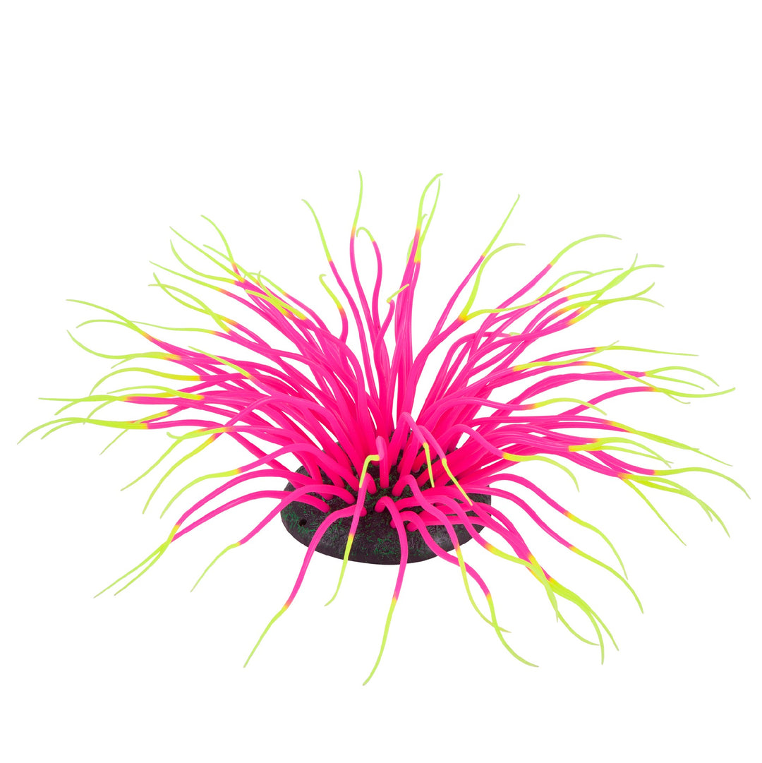 Kazoo Aquarium Plants Silicone W/air Sea Anemone Pink Medium
