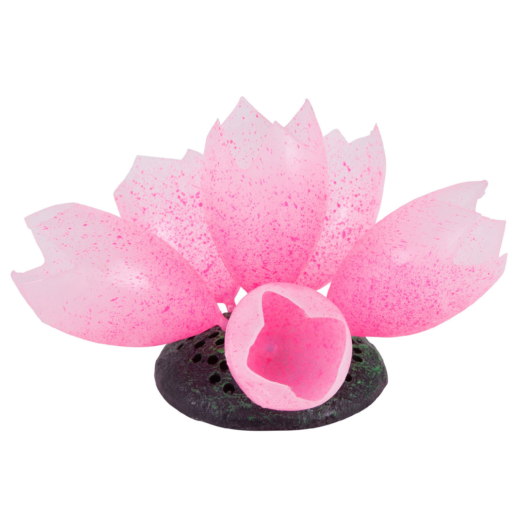 Kazoo Aquarium Plants Silicone Tunicate Pod Light Pink-m
