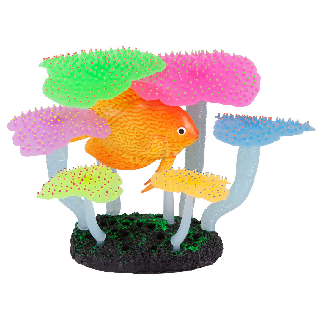 Kazoo Aquarium Plants Silicone Fluro Anemone W/discus Medium
