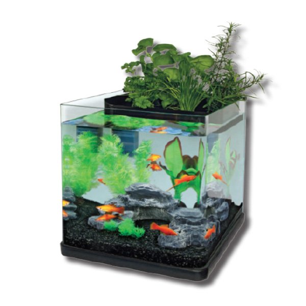 Aquatopia Aquarium Oasis 20