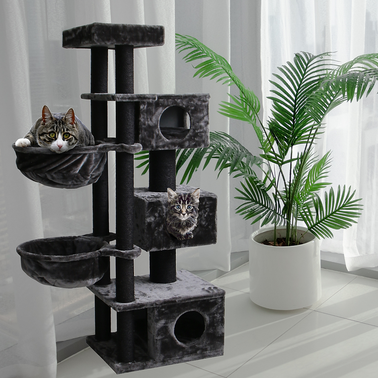 Bono Fido Cat Pole Bolton