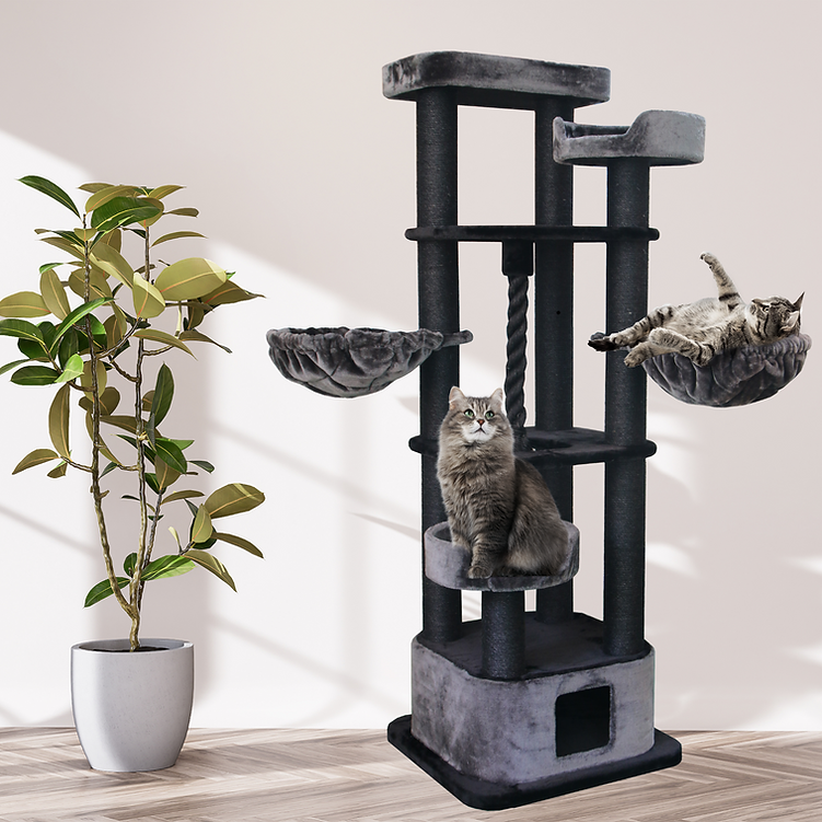 Bono Fido Cat Pole Lincoln
