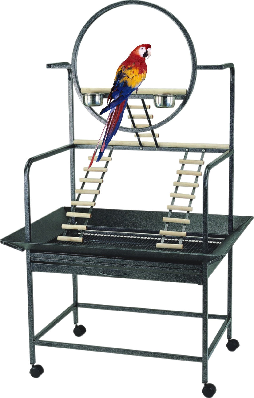 Bon Avi Parrot Stand Laddered Gym W/ring 45905