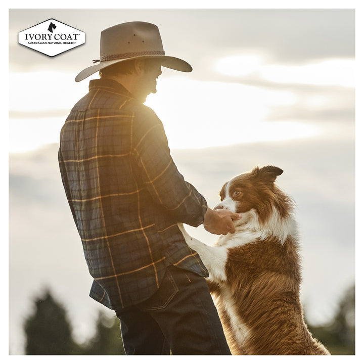 Ivory Coat K9 Adult Lamb & Kangaroo 2kg