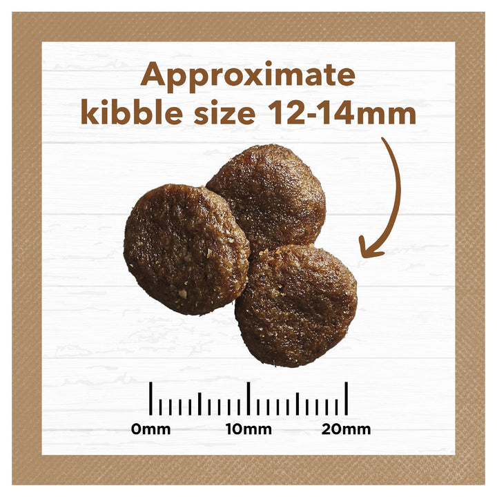 Ivory Coat K9 Adult Grain Free Lamb & Kangaroo 20kg