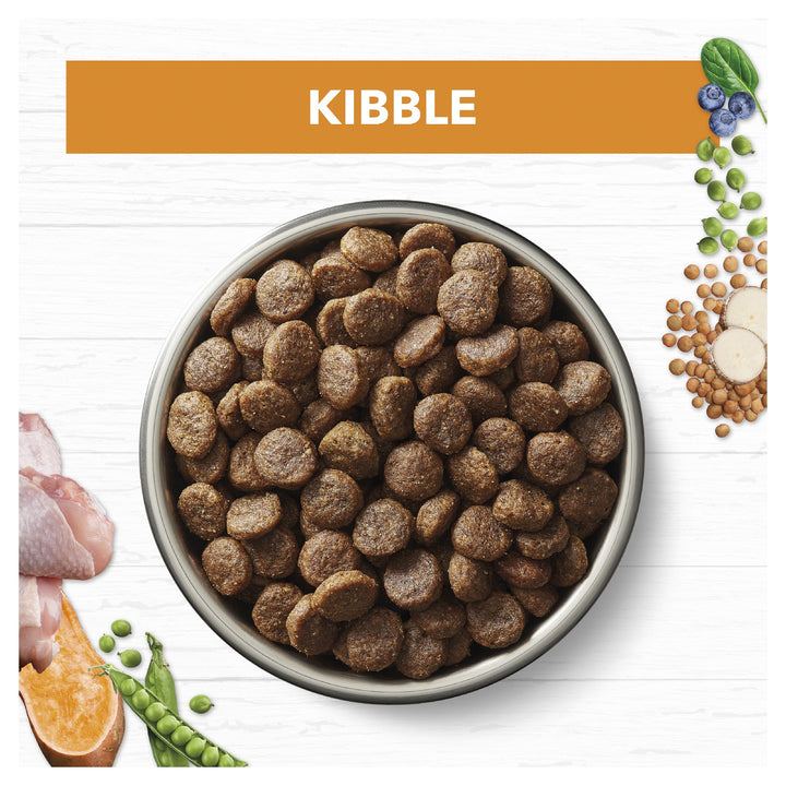 Ivory Coat K9 Adult Grain Free Chicken 20kg