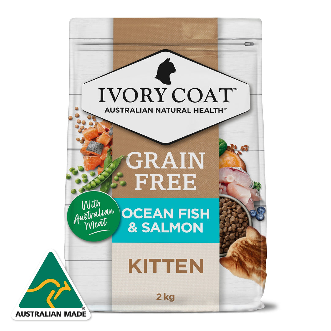 Ivory Coat F/l Kitten Ocean Fish & Salmon 2kg